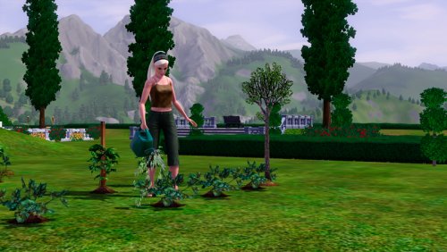 Садоводство, огород  и растения в Симс 3