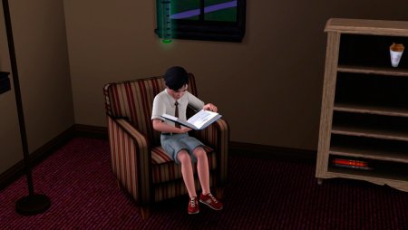 Как воспитать достойного сима в The Sims 3