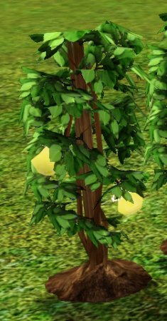 The Sims 3 Плод жизни